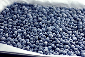 Фото Frozen blueberries 19 kg